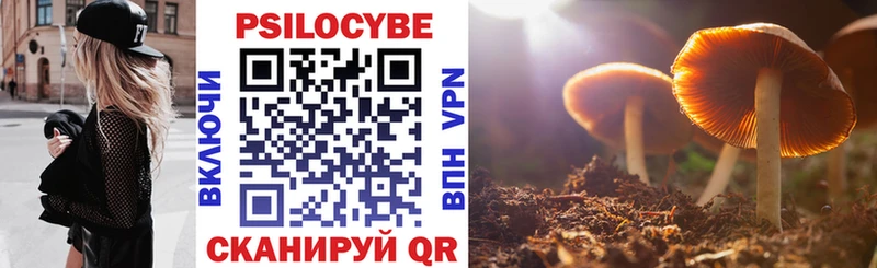 Купить где  Исилькуль  Галлюциногенные грибы GOLDEN TEACHER 